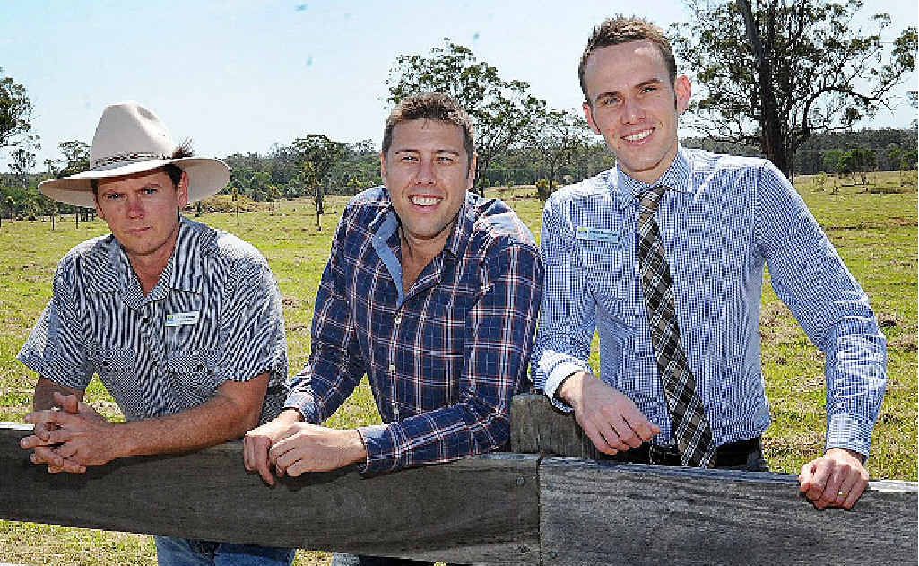 James Hansen, Brett Hore and Daniel Sanderson check out the Timbers Reserve in Maryborough. James Hansen, Brett Hore and Daniel Sanderson check out the Timbers Reserve in Maryborough.